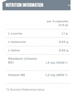 Dymatize BCAA 2200 2