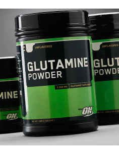 Optimum Nutrition Glutamine 1050 g 2