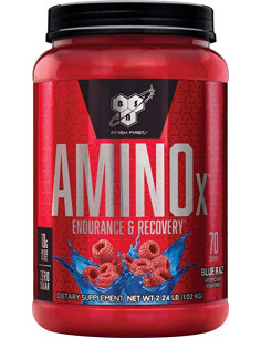 BSN Amino X 1010g