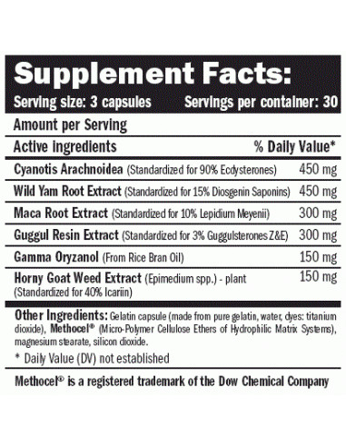 Amix Ecdy Sterones 90