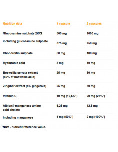 Olimp Nutrition Arthroblock 2