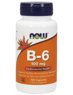 NOW B-6 100 mg