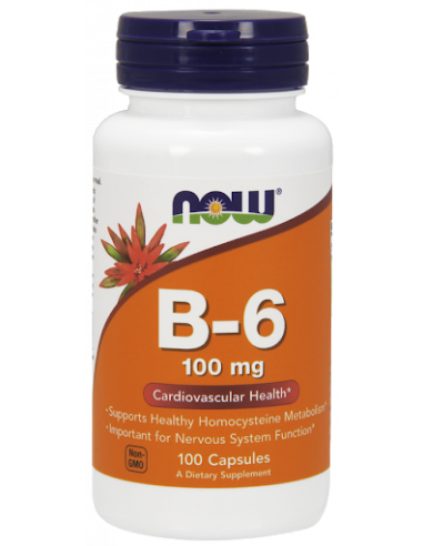 NOW B-6 100 mg