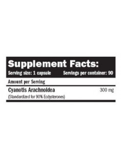 Amix Beta Ecdyx Pure 2