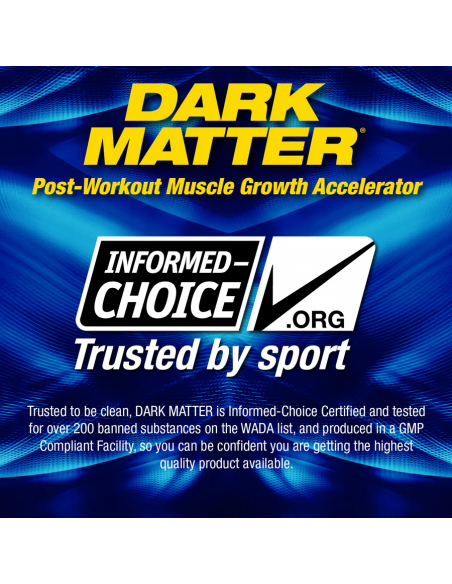 MHP Dark Matter informed choice