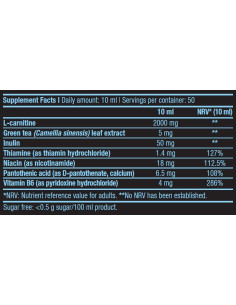 BioTechUSA L-Carnitine 100.000 Liquid 500 ml 2