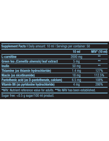 BioTechUSA L-Carnitine 100.000 Liquid 500 ml