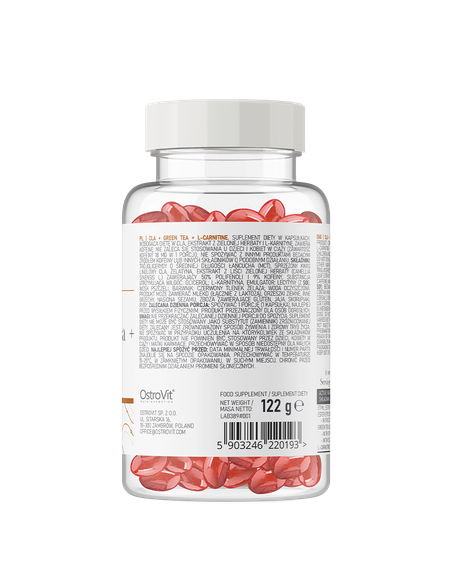 OstroVit CLA + Green tea + L-carnitine