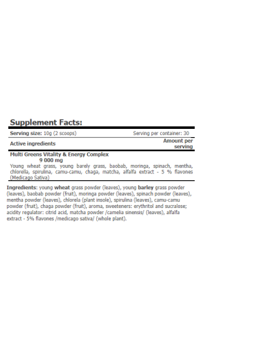 Amix GreenDay ProVEGAN Multi Greens Vitality & Energy 300 g