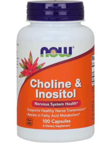 NOW Choline & Inositol 500 mg