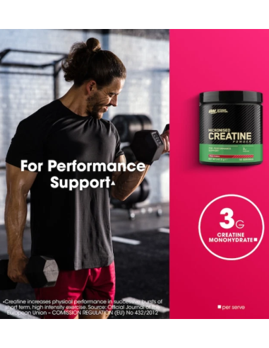Optimum Nutrition Micronised Creatine Powder 247,5 g Optimum Nutrition Micronised Creatine Powder 247,5 g