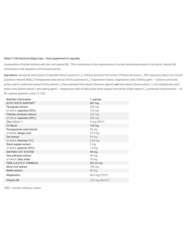 T-100 Hardcore facts