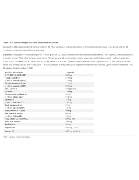 T-100 Hardcore facts