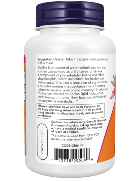 NOW Choline 300 mg 100 kapszula