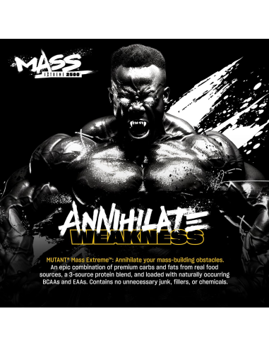 Mutant Mass XXXTREME 2500 1000g