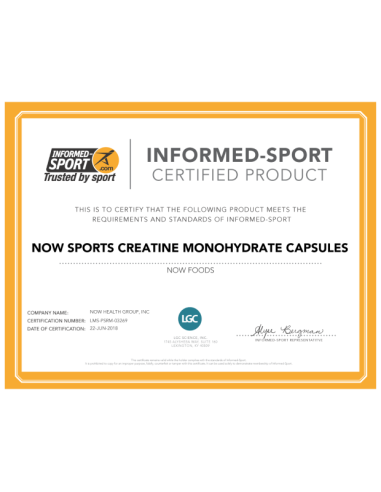 NOW Creatine Monohydrate 750 mg 240 kapszula