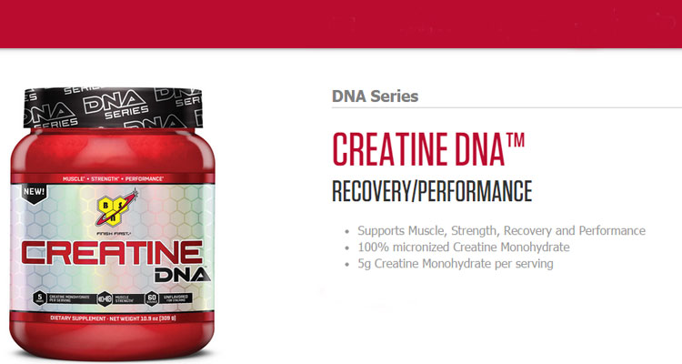 BSN Creatine DNA