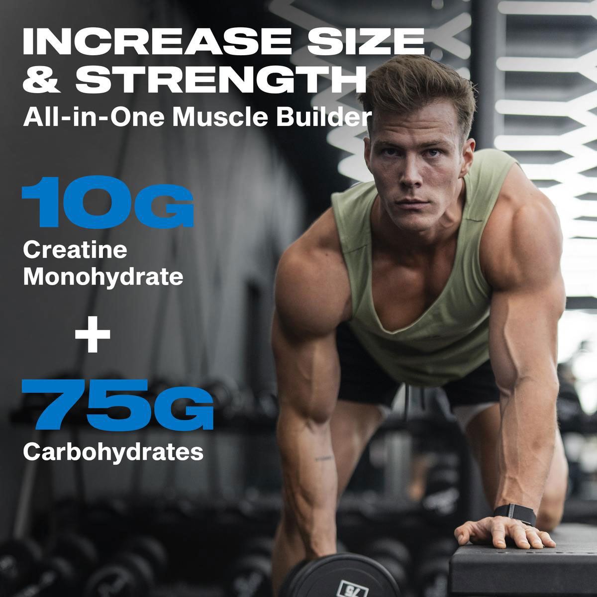 MuscleTech Celltech Performance Series