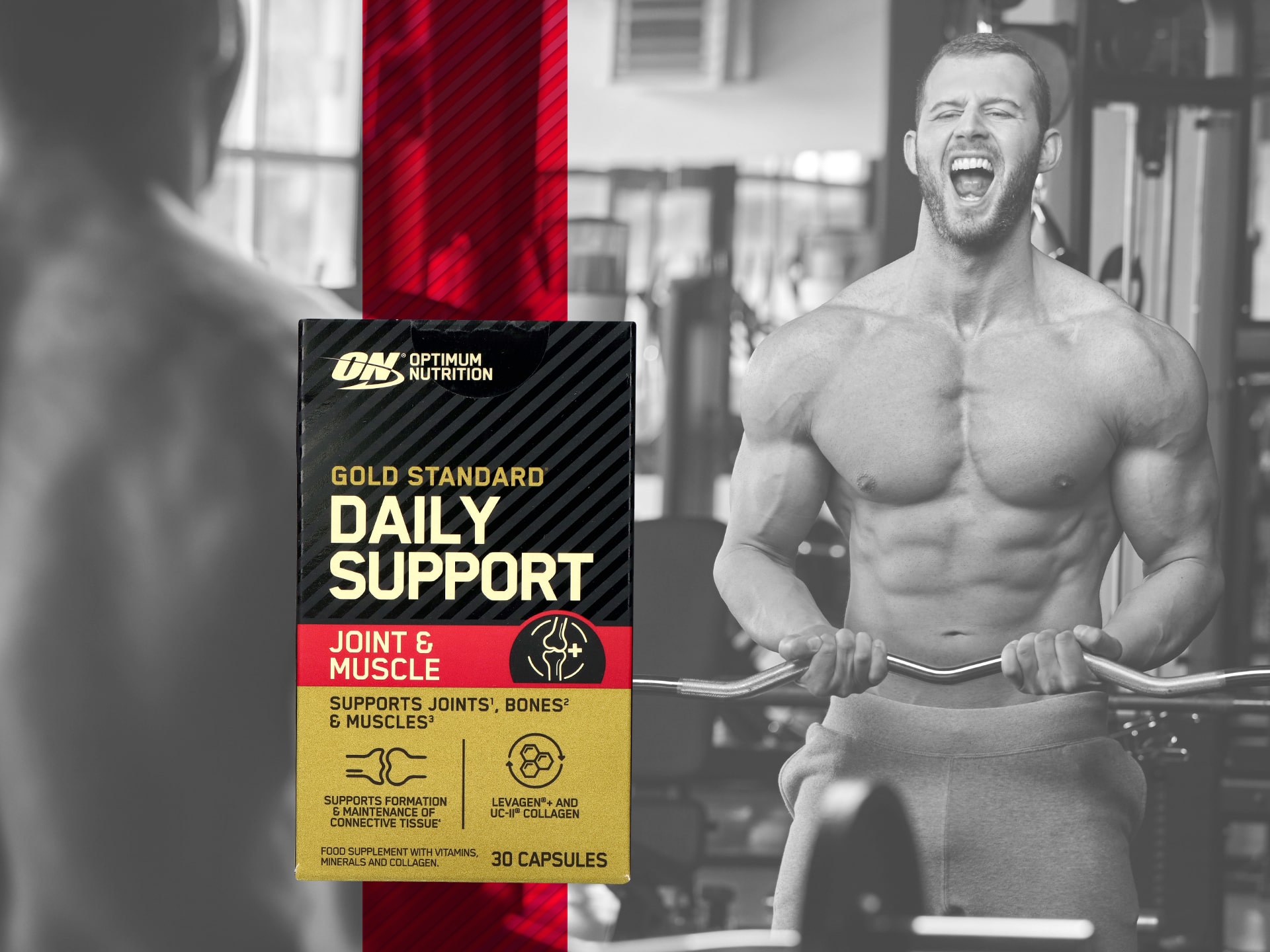Optimum Nutrition Gold Standard Daily Support Joint